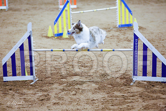 _JJ_3590-FWAgilJun2015-HR3