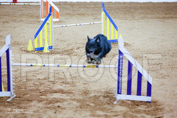 _JJ_4524-FWAgilJun2015-HR3