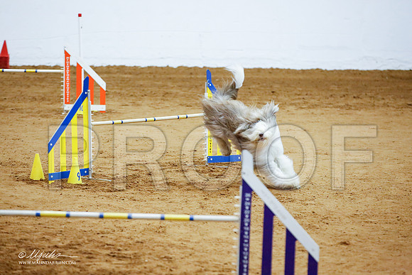 _JJ_3433-FWAgilJun2015-HR3