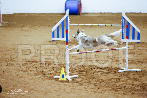 _JJ_3341-FWAgilJun2015-HR3