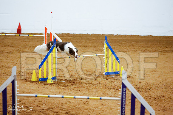 _JJ_3940-FWAgilJun2015-HR3