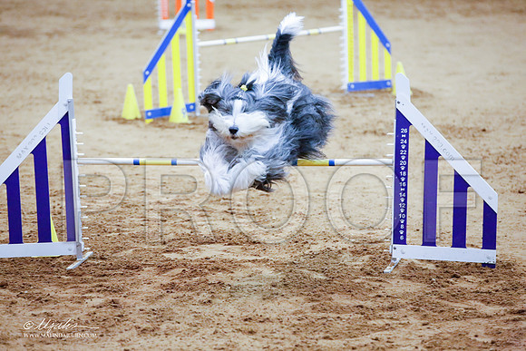 _JJ_3909-FWAgilJun2015-HR3