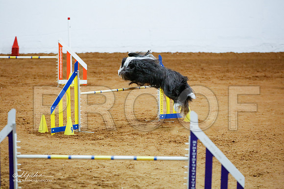 _JJ_3919-FWAgilJun2015-HR3