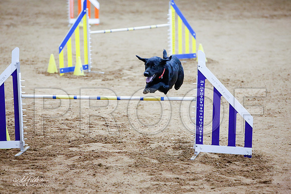 _JJ_4272-FWAgilJun2015-HR3