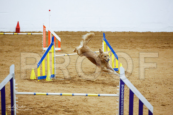 _JJ_3742-FWAgilJun2015-HR3