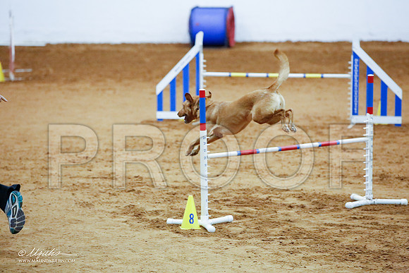 _JJ_3986-FWAgilJun2015-HR3
