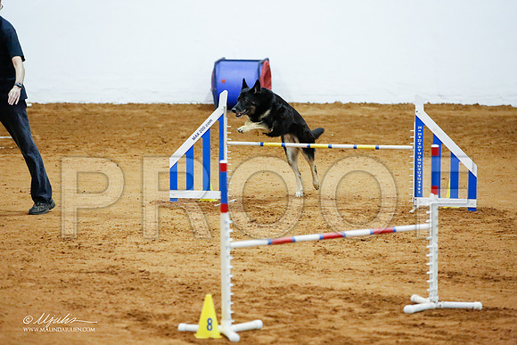 _JJ_4462-FWAgilJun2015-HR3