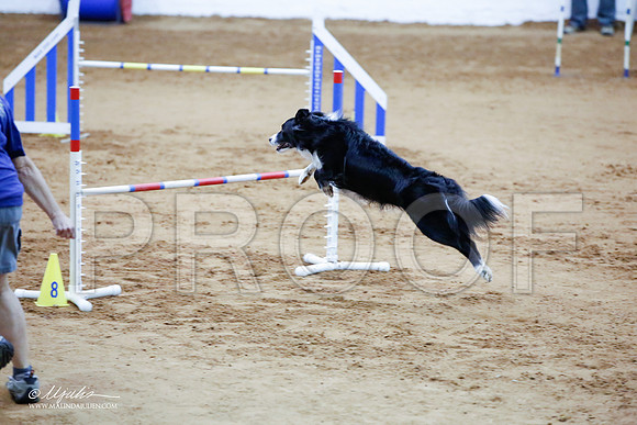 _JJ_4009-FWAgilJun2015-HR3