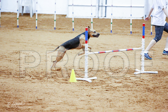 _JJ_4493-FWAgilJun2015-HR3