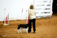 JWW Exc 20 Sat Vonda Spinks Rocky