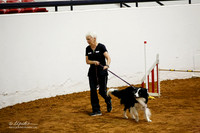 JWW Exc 24 Sat Anita Tipton Paddy