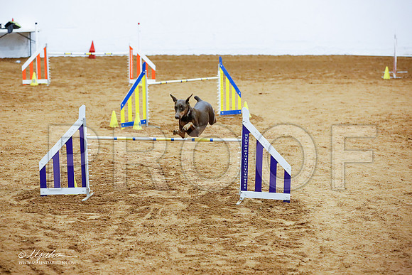 _JJ_2923-FWAgilJun2015-HR3