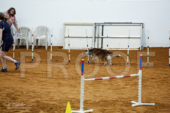 _JJ_2883-FWAgilJun2015-HR3
