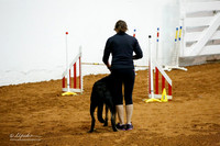 JWW Exc 24 Sat Sharon Schultz The Woodr