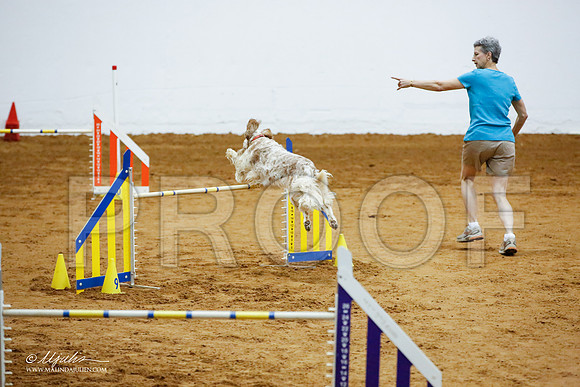 _JJ_2816-FWAgilJun2015-HR3