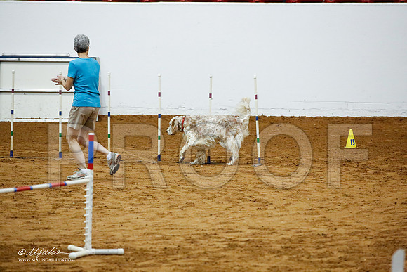 _JJ_2820-FWAgilJun2015-HR3