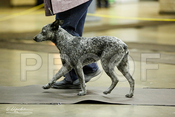 _JJ_6086-BeltonJan2015IABCA-HR3
