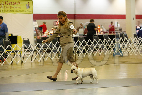_JJ_8676-AmarilloSept2014-HR3