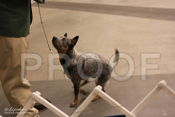 ACD-0516 HR