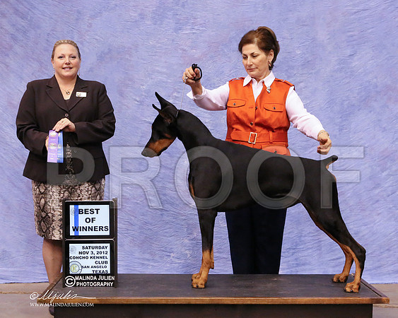 Dobe-0147-8x10