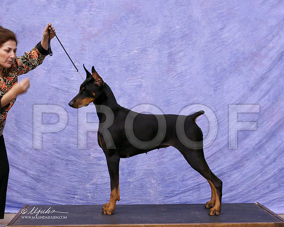 Dobe-0633-8x10