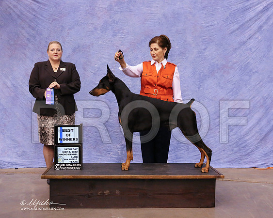 Dobe-0158-8x10
