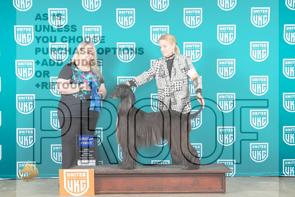Afghan Hound #325 Fri G1 Judge Malinda Julien_MJ_3160_UKCBelton_2022_HR3