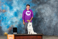 American Eskimo Thur