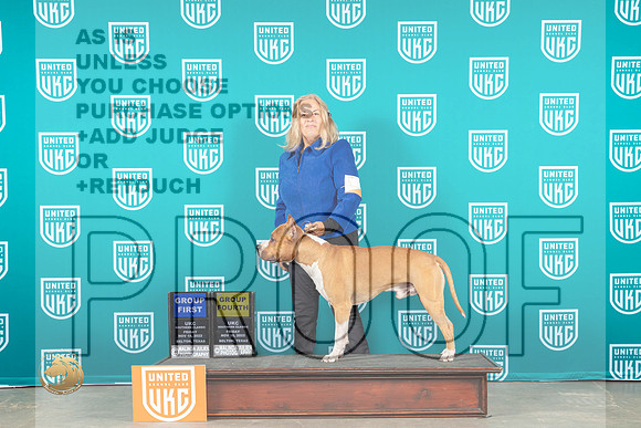 American Pit Bull Terrier #293 Fri G4 Judge Joe Allen_MJ_3165_UKCBelton_2022_HR3