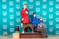 American Pit Bull Terrier #386 Sat G2 Judge Lynn Martin