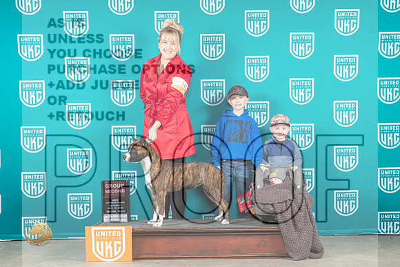 American Pit Bull Terrier #386 Sat G2 Judge Lynn Martin_MJ_3605_UKCBelton_2022_HR3