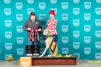 Azawakh #478 WP Judge Anissa Littlefield