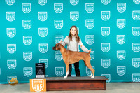 Boxer #260 Sat BF Judge Lynn Martin