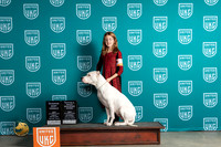 Dogo #221 Sun RF No Judge