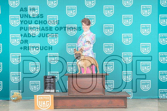 French Bulldog #? Fri GrCh Judge Lynn Martin_MJ_3178_UKCBelton_2022_HR3