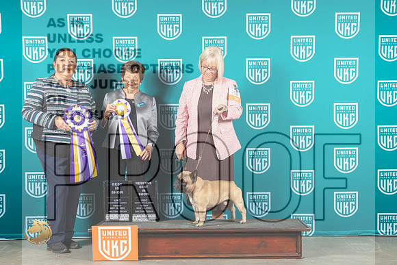 French Bulldog #308 Fri BIS Judges Nancy & Michelle_MJ_3284_UKCBelton_2022_HR3