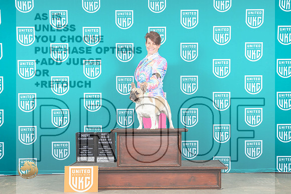 French Bulldog #398 Fri BOW Judge Karen Cattin_MJ_3193_UKCBelton_2022_HR3