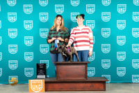 French Bulldog #485 Fri NovA1 Nosework Judge Lisa Berry