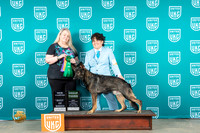 German Shepherd Dog #198 Fri BOBCHG3 Judge Malinda Julien