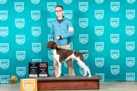 German Shorthaired Pointer #40? Sun Judge?