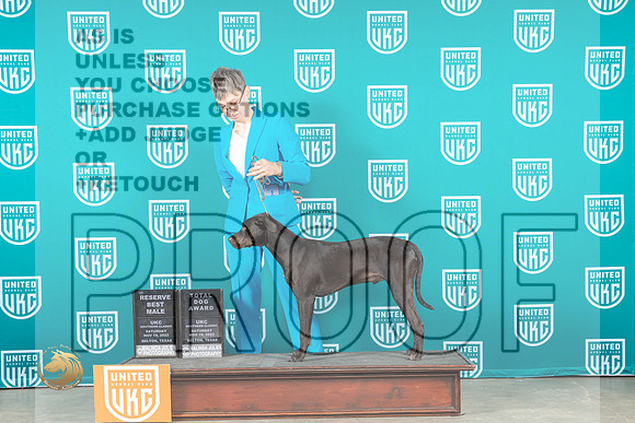 LCLD #316 Sat TD Judge Karen Cattin_MJ_3803_UKCBelton_2022_HR3
