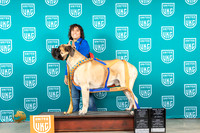 Mastiff #145 Sun NT