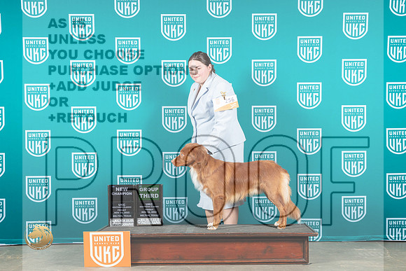 Nova Scotia Duck Tolling Retriever #256 Fri G3 Judge Karen Cattin_MJ_3148_UKCBelton_2022_HR3