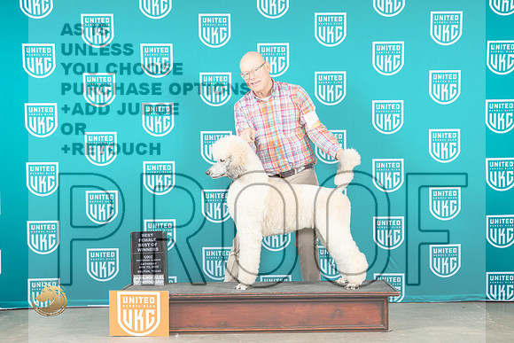Poodle Std MC #428 Sat BOW Judge Joe Allen_MJ_3515_UKCBelton_2022_HR3