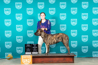 Presa Canario #138 Fri CCHBOB Judge Joe Allen