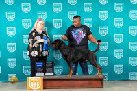 Rottweiler #121 Sat G1 Judge Malinda Julien