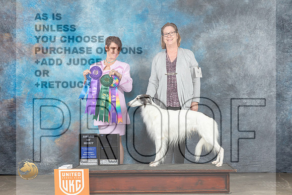 Silken Windhound #17 Thur WD Judge CC Evans_MJ_3045_UKCBelton_2022_HR3