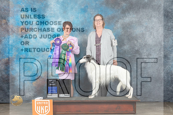 Silken Windhound #17 Thur WD Judge CC Evans_MJ_3047_UKCBelton_2022_HR3