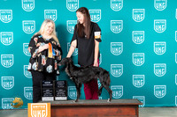 Silken Windhound #259 Fri NC Judge Malinda Julien