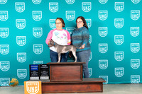 American Hairless Terrier #175 Sun G1 Judge Karen Cattin